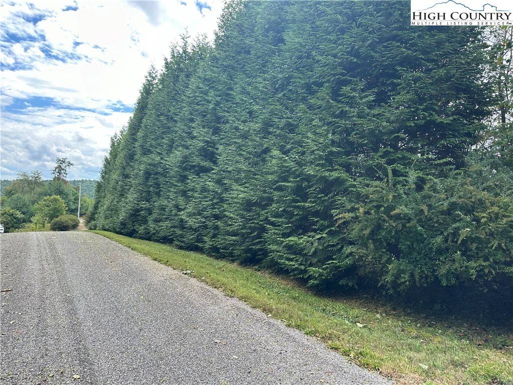 Purlear, NC 28665,Lot 2E Cielo Ridge WAY