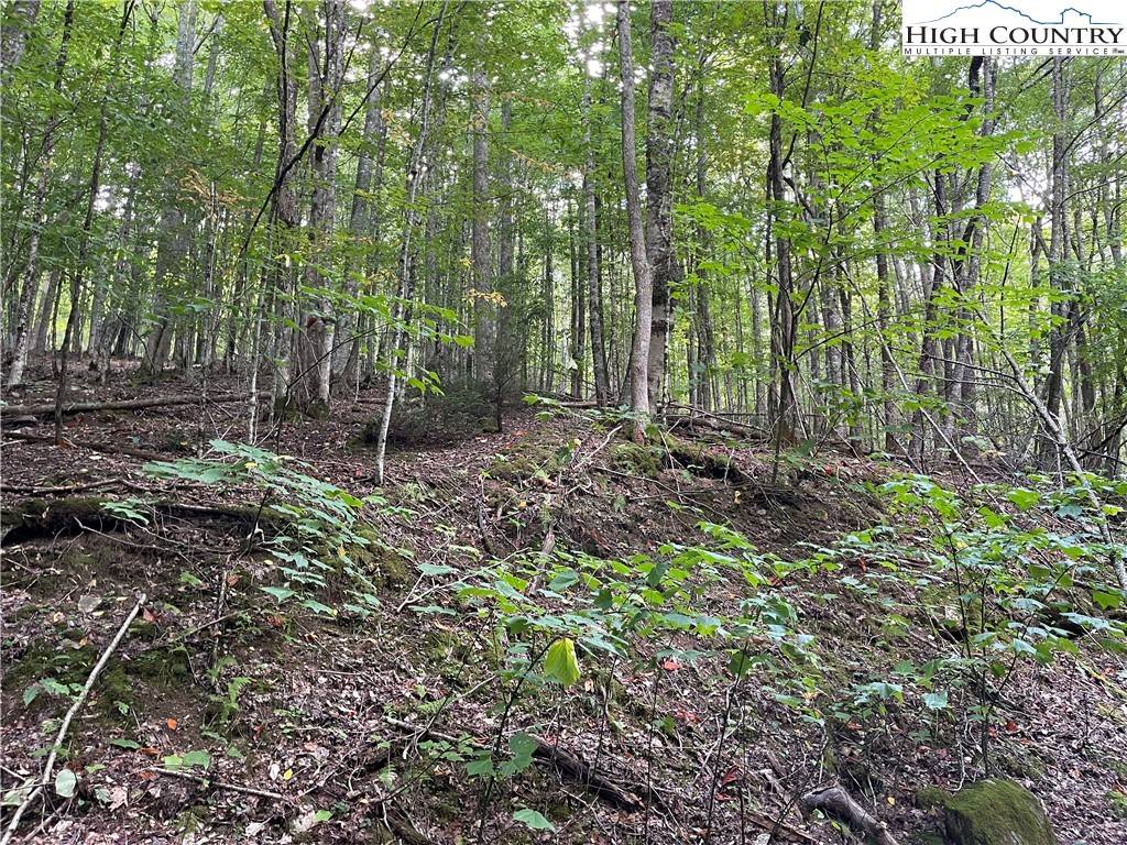Beech Mountain, NC 28604,126 Arrowhead Road