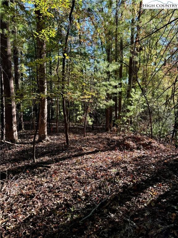 Deep Gap, NC 28618,TBD Penny LN