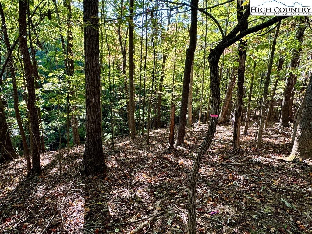 Deep Gap, NC 28618,TBD Penny LN