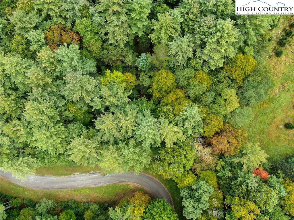 West Jefferson, NC 28694,Lot 5 Walden LN