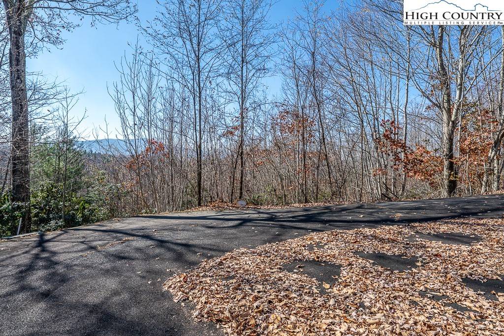 Elk Park, NC 28604,Lot 79 Bear Creek RD