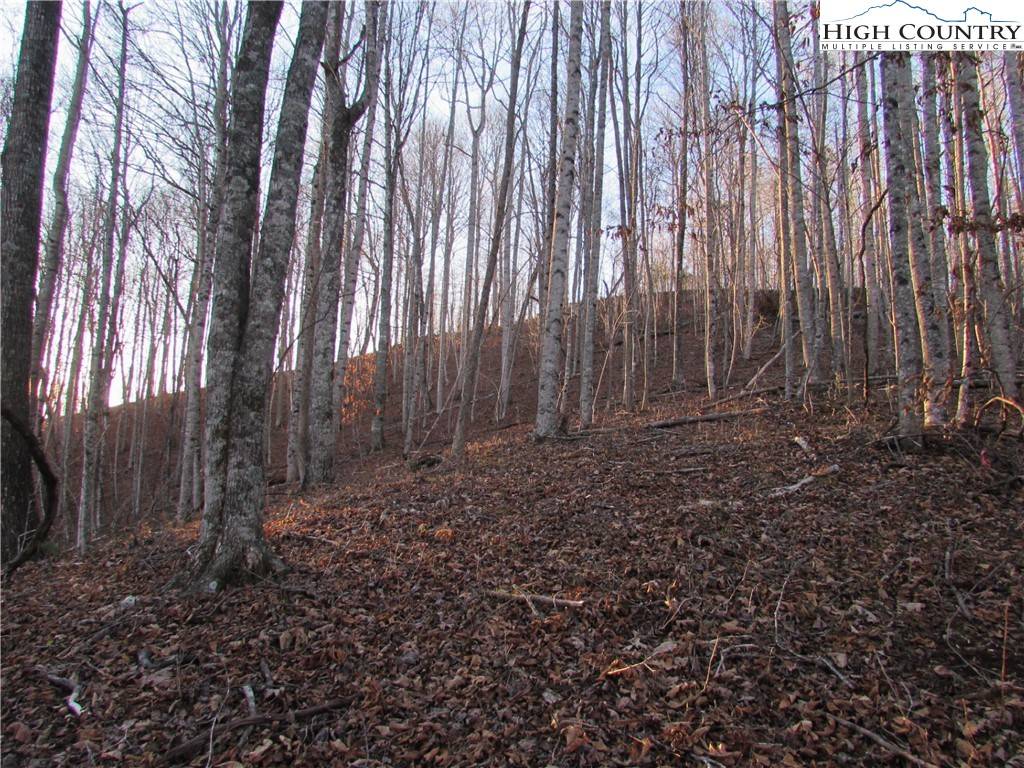 Todd, NC 28684,Lot 19R Pinnacle Ridge RD