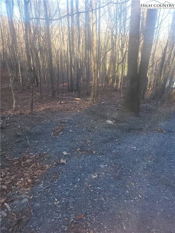 West Jefferson, NC 28694,TBD Bluff Ridge RD