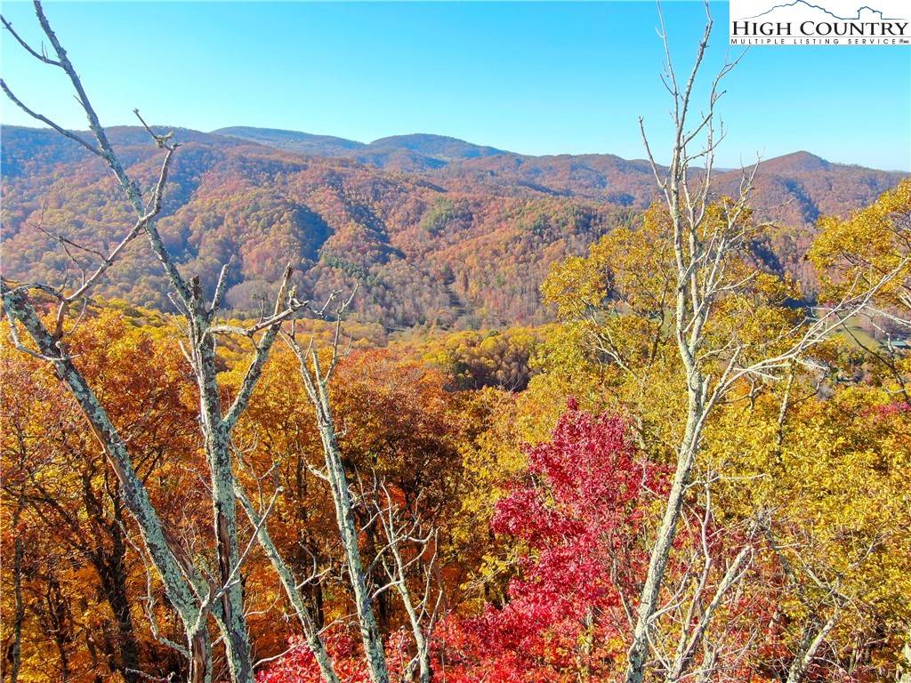 Banner Elk, NC 28604,TBD Larkspur TRL