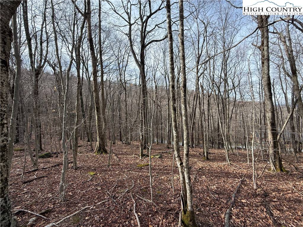 Beech Mountain, NC 28604,109 Hawthorne RD