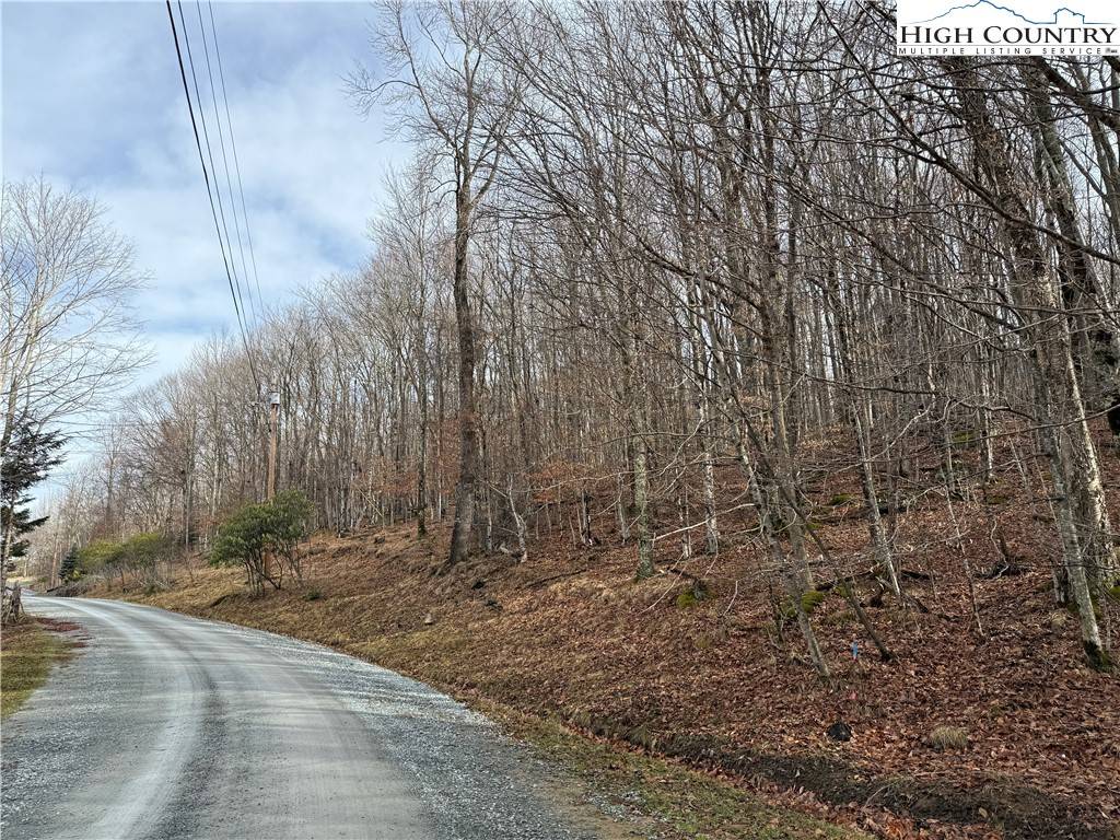 Beech Mountain, NC 28604,109 Hawthorne RD