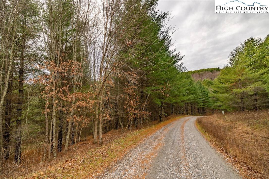 Sparta, NC 28675,Lot #5 Alta Vista LN
