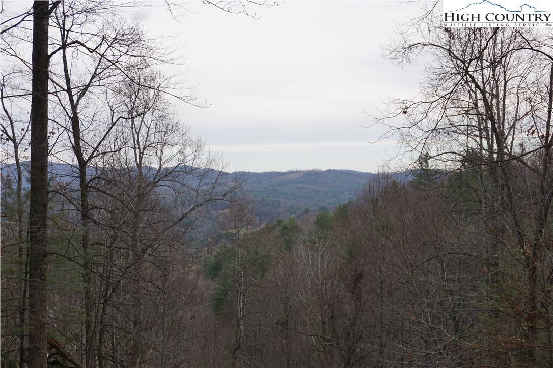 Fleetwood, NC 28626,387 Turkey Knob Trail