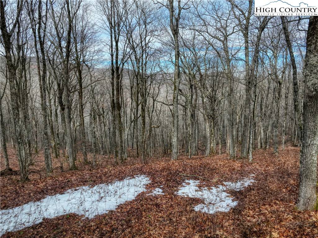Todd, NC 28684,Lot 97 Elk Creek Mtn Prkwy