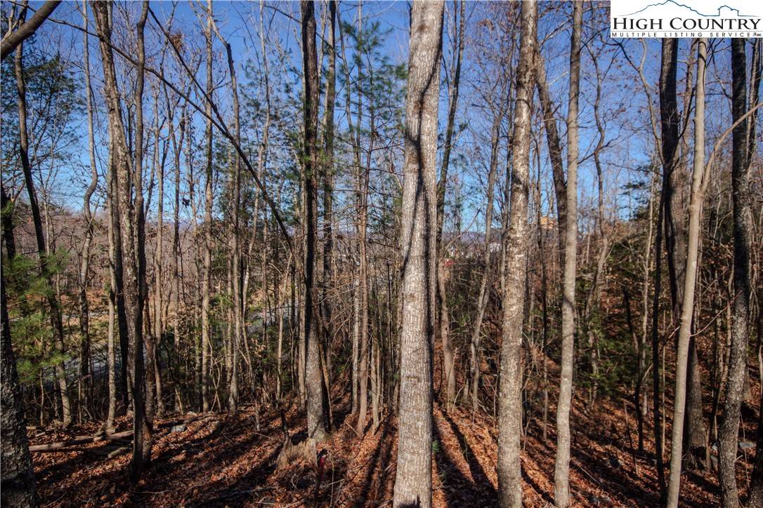 Lenoir, NC 28645,401 SE Huntington Woods ST