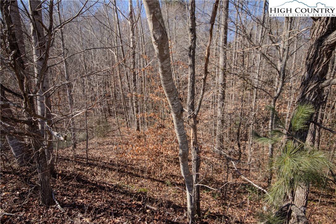Lenoir, NC 28645,746 SE Chatsworth ST