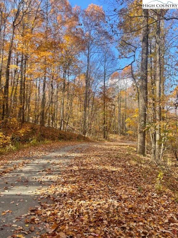 Jefferson, NC 28640,Lot 29 Winter ST
