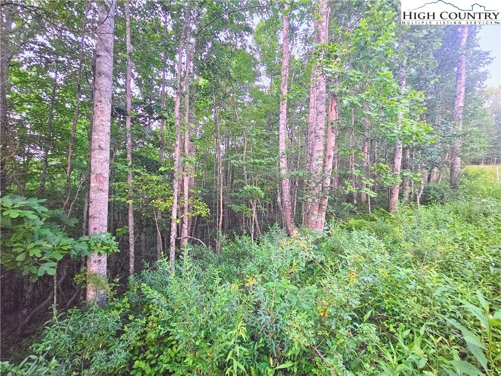 Crumpler, NC 28617,Lot 21 Eagles Landing Dr