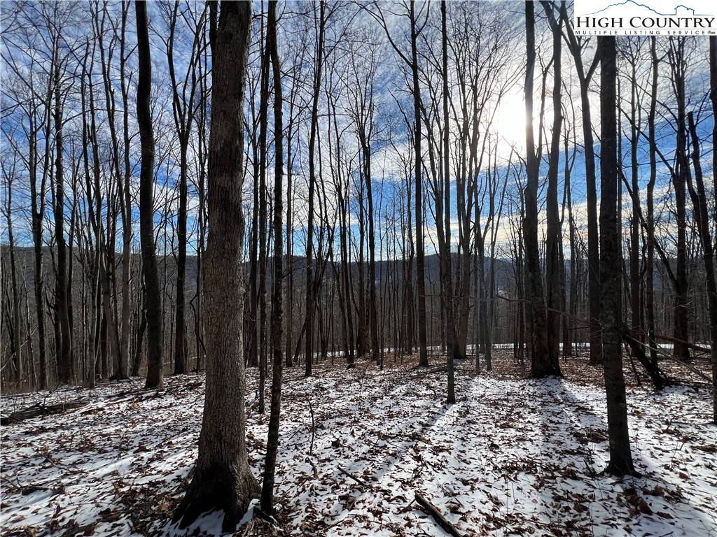 Todd, NC 28684,Lot 60 Elk Creek Mountain Pkwy