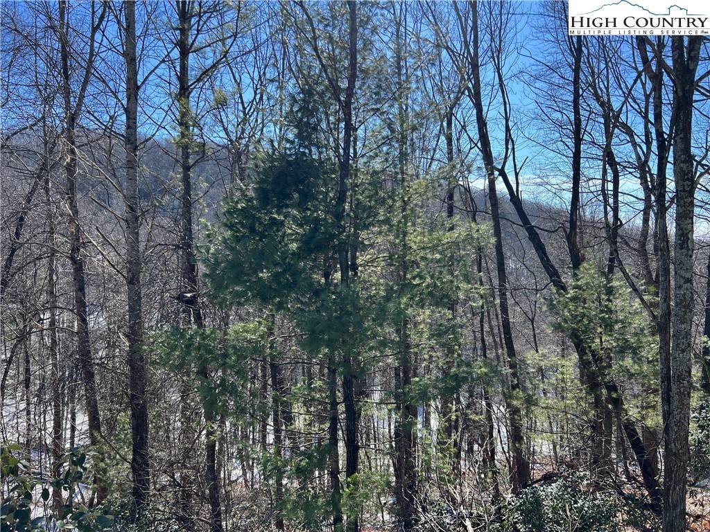 Lenoir, NC 28645,TBD (Lot 4) Wolf Den LN