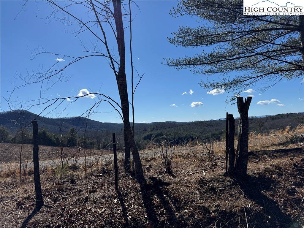 West Jefferson, NC 28694,Lots 237 an 238 Falcon Ridge DR