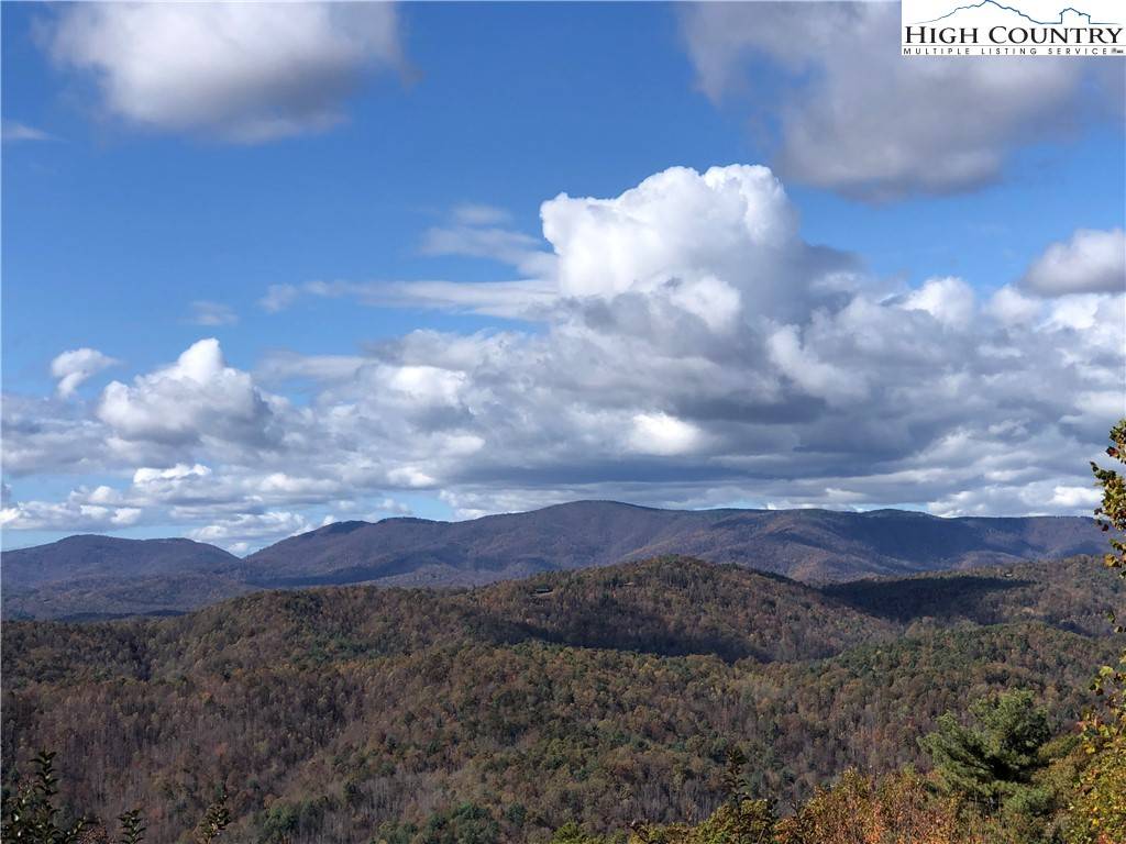Purlear, NC 28665,Lot 96 Buck Mountain RD