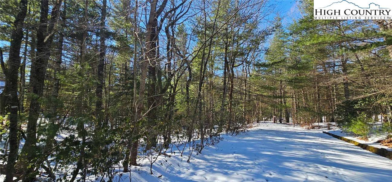 Sparta, NC 28675,TBD Little Creek RD