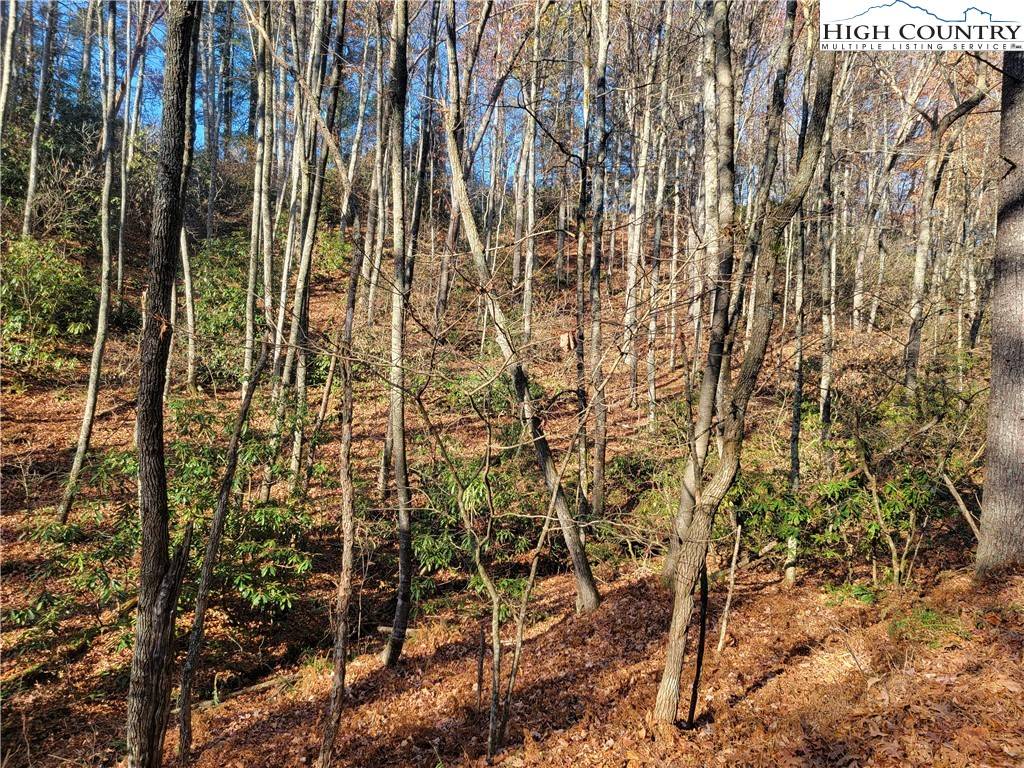 Fleetwood, NC 28626,TBD Lake Front Dr