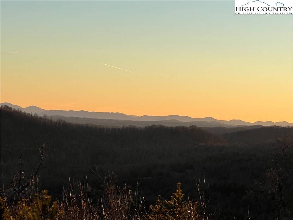 Hays, NC 28635,TR 14 Blackberry RDG