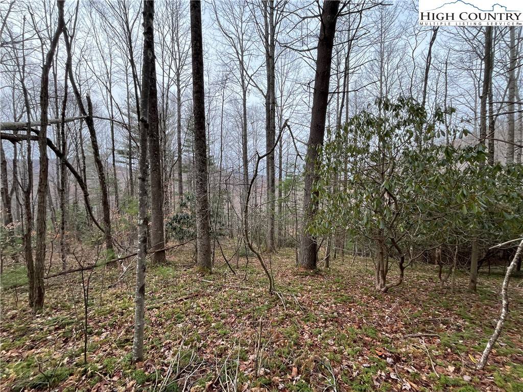 Todd, NC 28684,17 Solitude Lane