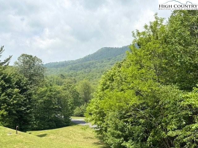 Linville, NC 28604,Lot 9 Trillium LN