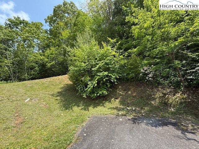 Linville, NC 28604,Lot 9 Trillium LN