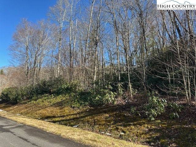 Linville, NC 28646,TBD Lot 43 Linville River LN