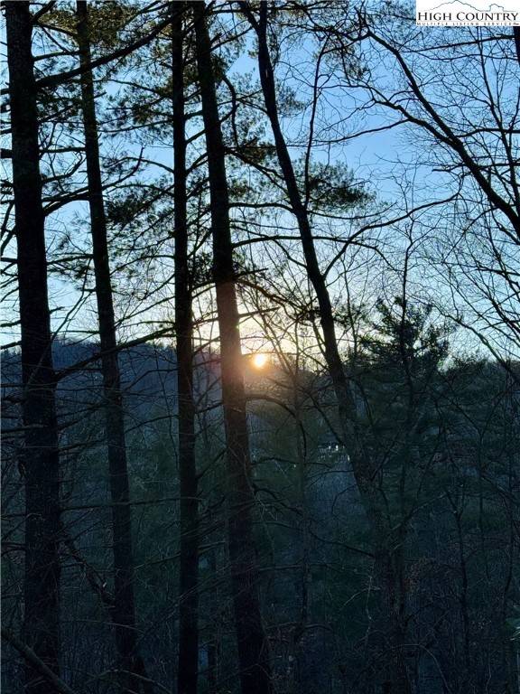 Deep Gap, NC 28618,TBD Roaring Ridge RD