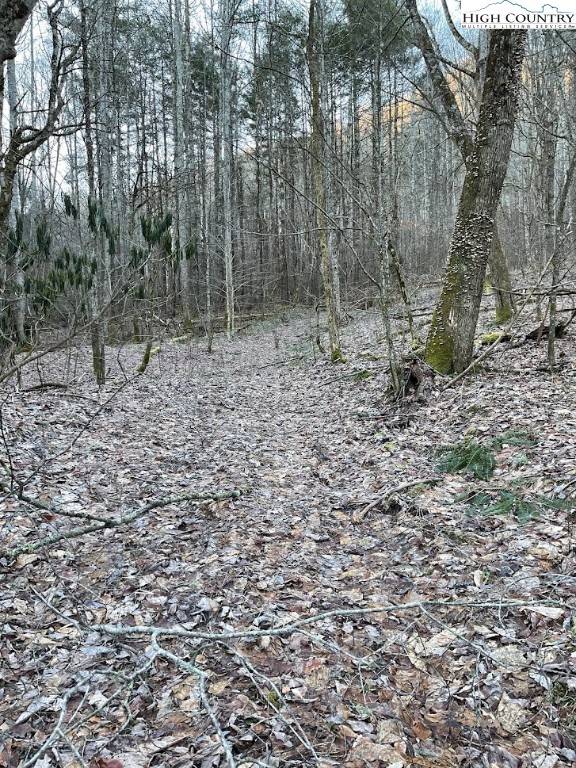 Elk Park, NC 28622,0 Dark Ridge RD