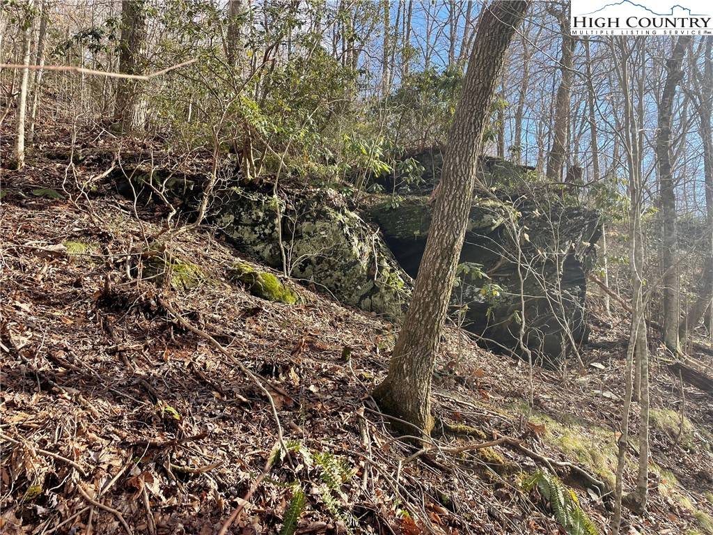 Todd, NC 28684,TBD Overlook LN