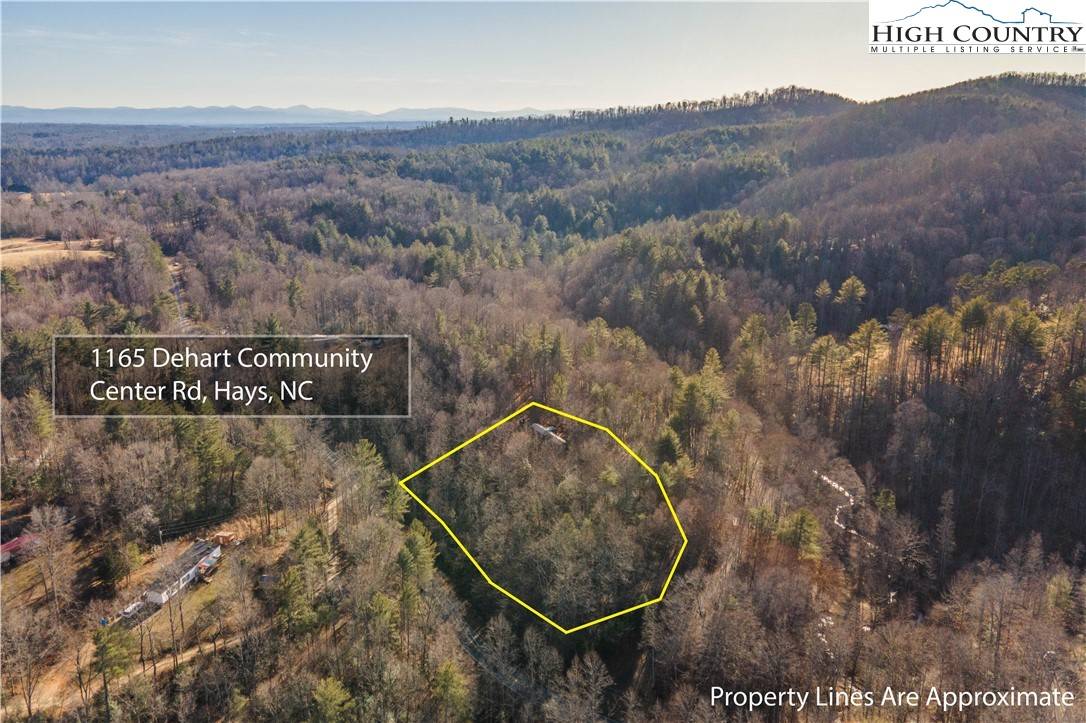Hays, NC 28635,1165 Dehart Community Center RD