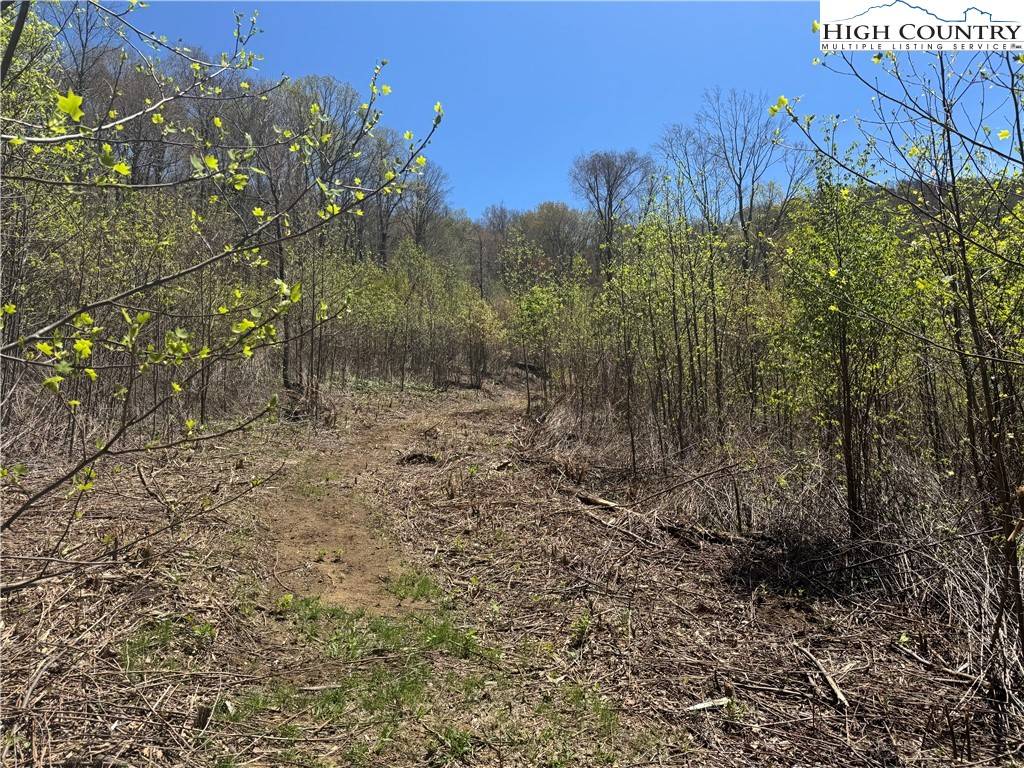 West Jefferson, NC 28694,2A Doe Ridge DR