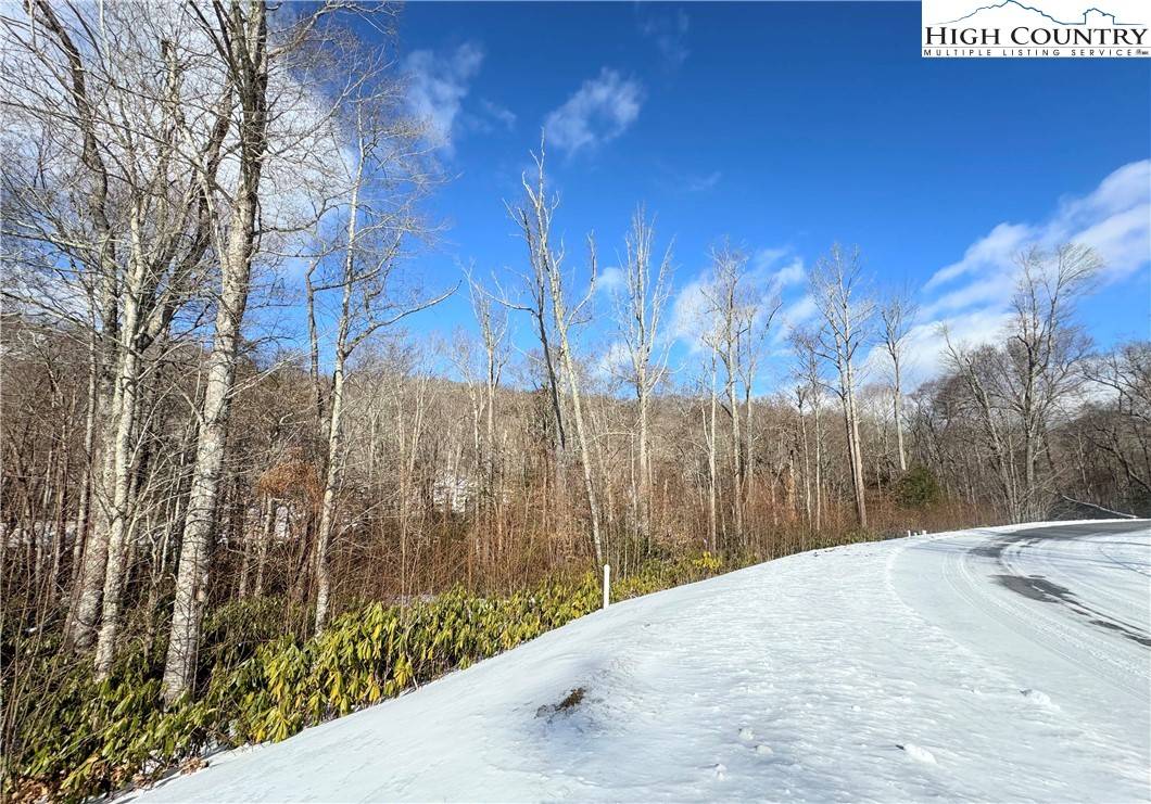 Linville, NC 28646,Lot 11 Linville River DR