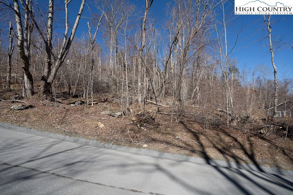 Sugar Mountain, NC 28604,25 Highland Circle
