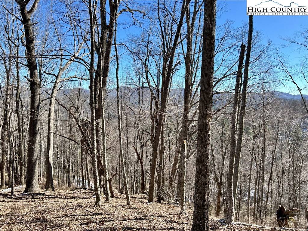 Sparta, NC 28675,TBD/Lot 23 Scenic Mountain DR