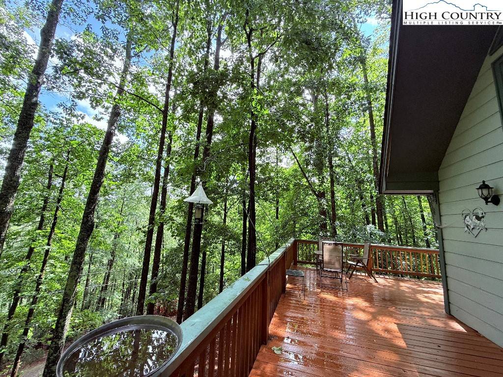 Deep Gap, NC 28618,154 Breezy LN