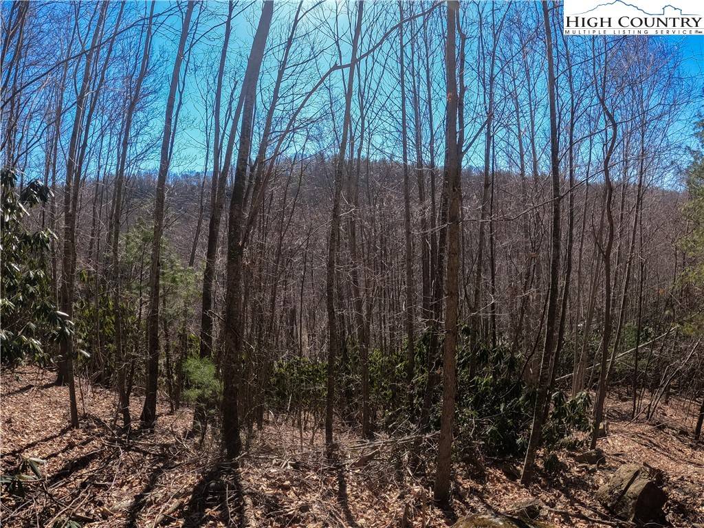 Elk Park, NC 28622,Lot 99 Beaver Dam RD
