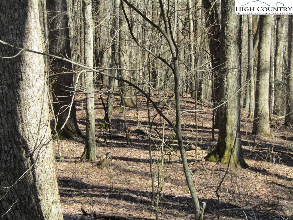 Zionville, NC 28698,000 Tater Hill RD