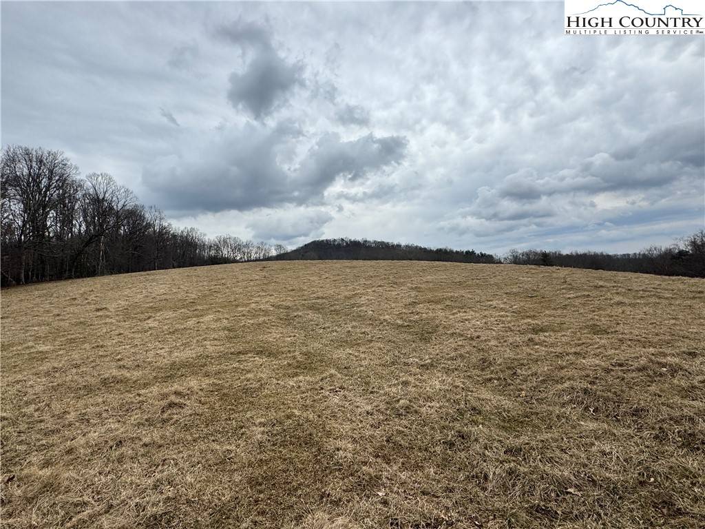 Ennice, NC 28623,TBD Little Pine RD