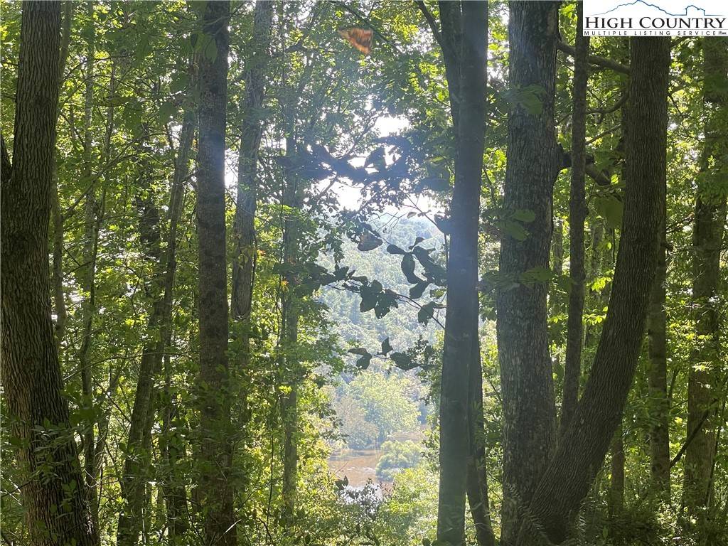 Grassy Creek, NC 28631,TBD Highlands TRL