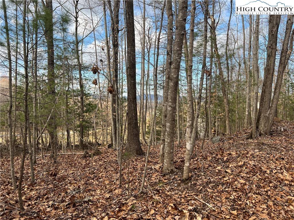 Lenoir, NC 28645,Lot# 79 Huntington Woods ST