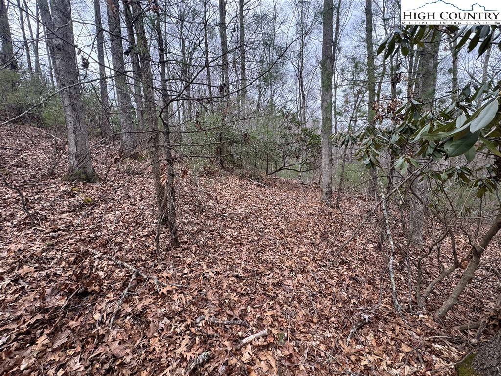 West Jefferson, NC 28640,TBD Long Leaf DR