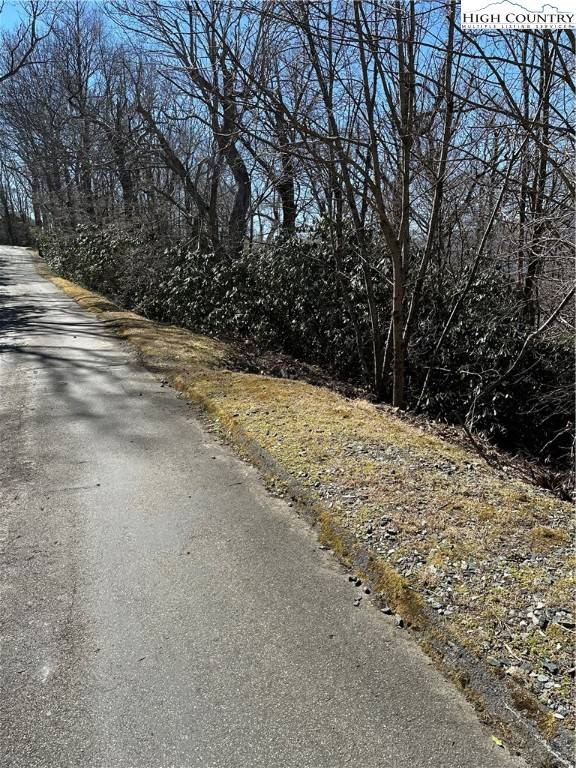 Blowing Rock, NC 28605,Lot 306 Misty Ridge LN