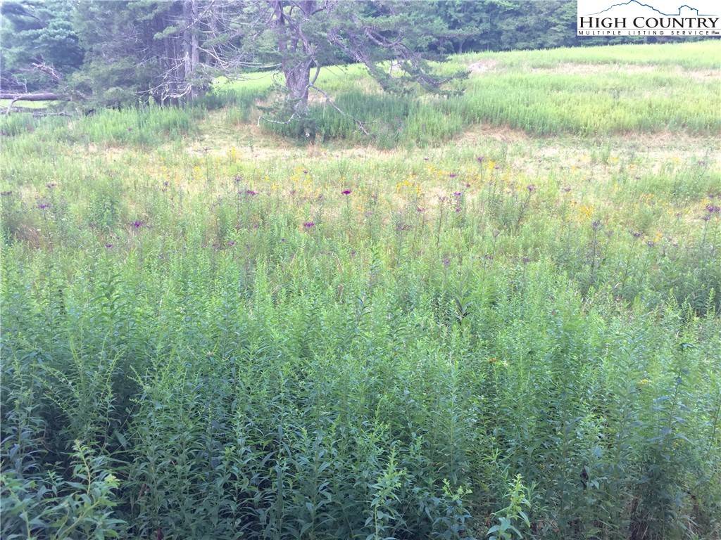 Blowing Rock, NC 28605,Lot 85 Sweet Pea LN