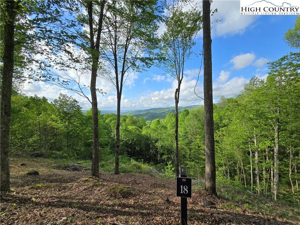 Elk Park, NC 28622,18 Honeysuckle DR