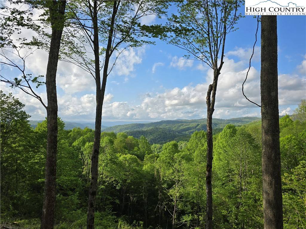Elk Park, NC 28622,18 Honeysuckle DR