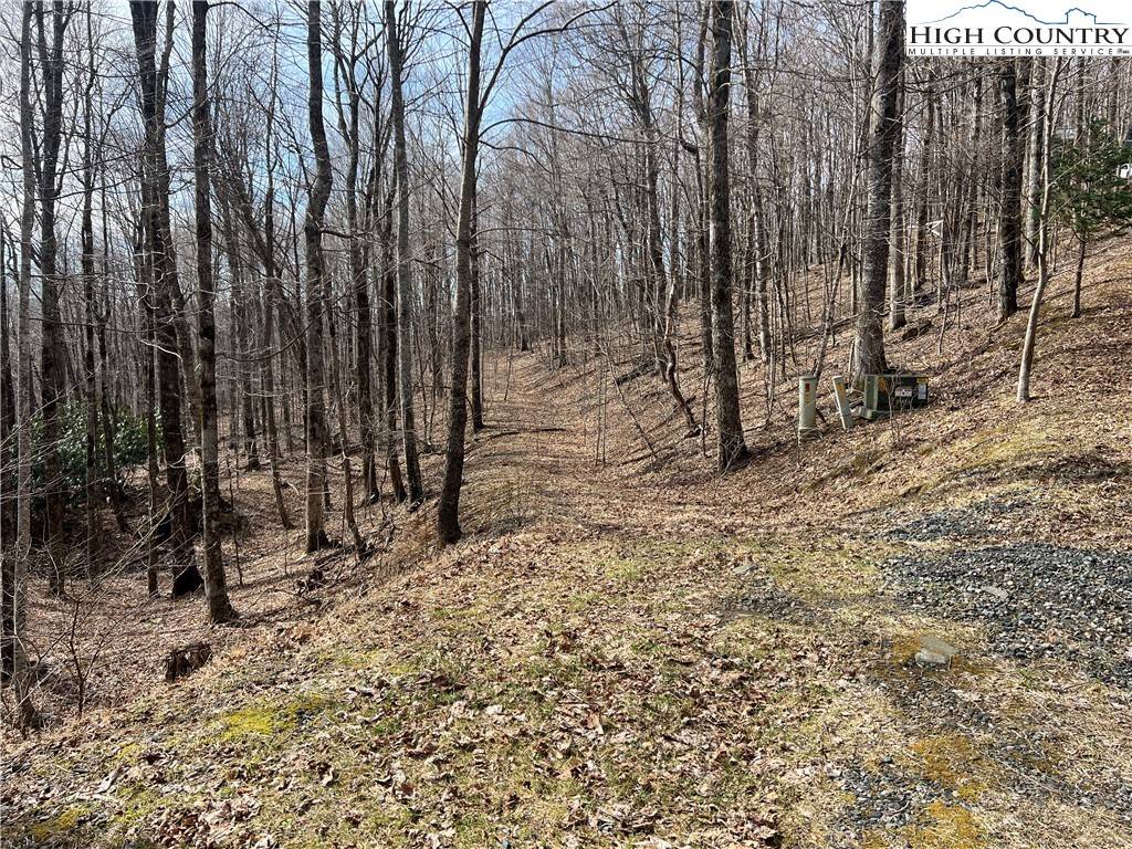 West Jefferson, NC 28694,unk Maple Branch RD
