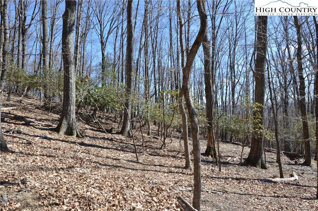 Sparta, NC 28675,TBD Coleman DR